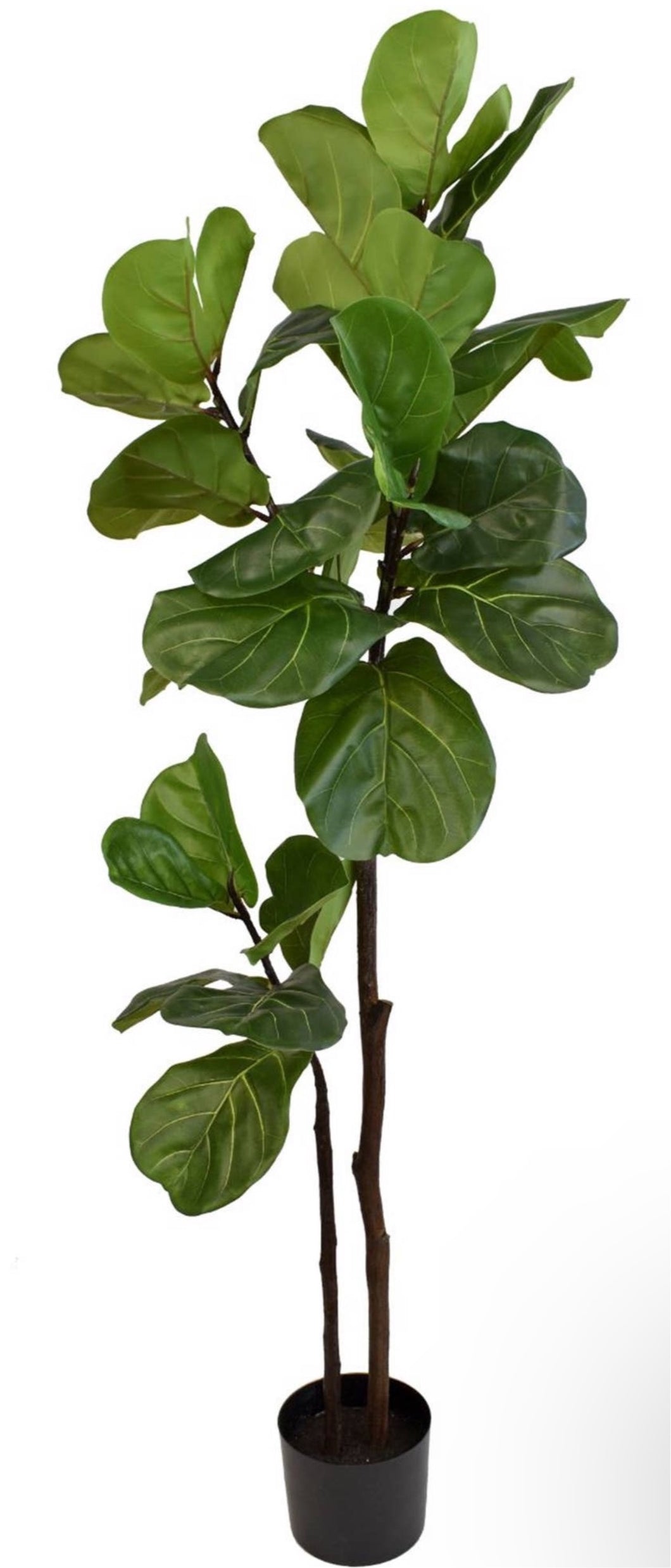 Fresh Touch Fiddle Leaf Potted Tree