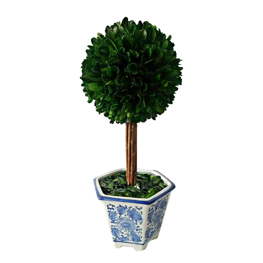 Boxwood Ball Topiary Tree in Ceramic Pot - medium