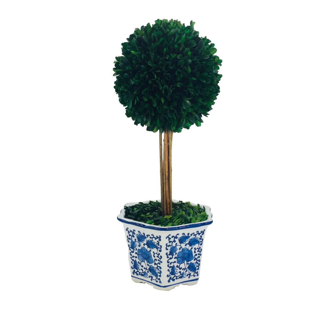 Boxwood Ball Topiary Tree in Ceramic Pot - large