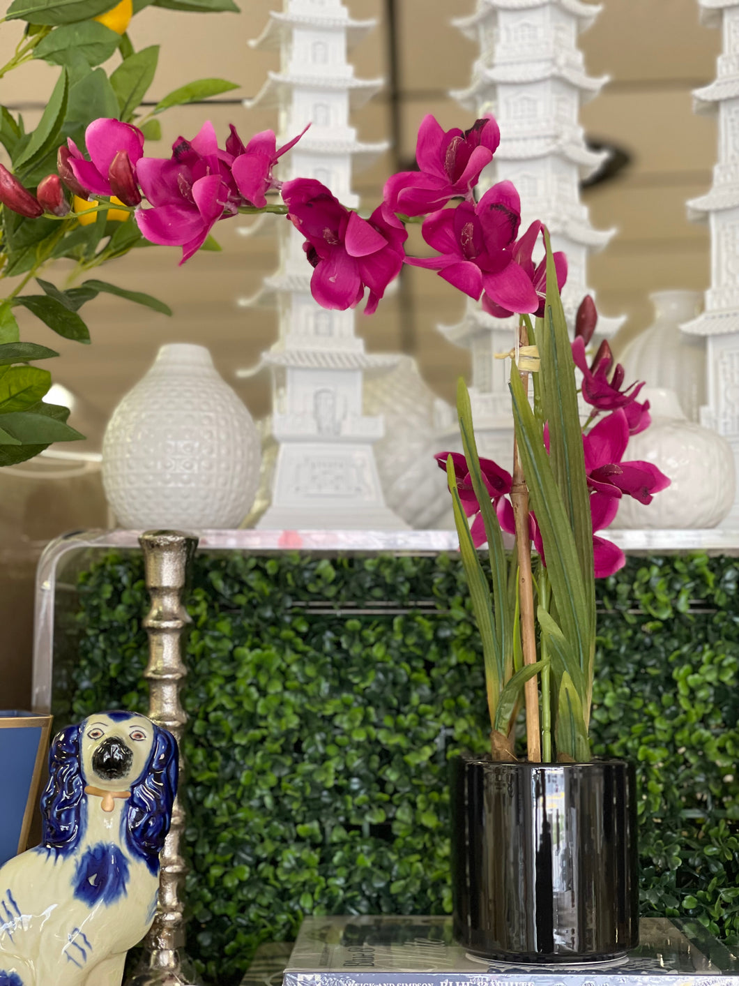 Potted Orchid