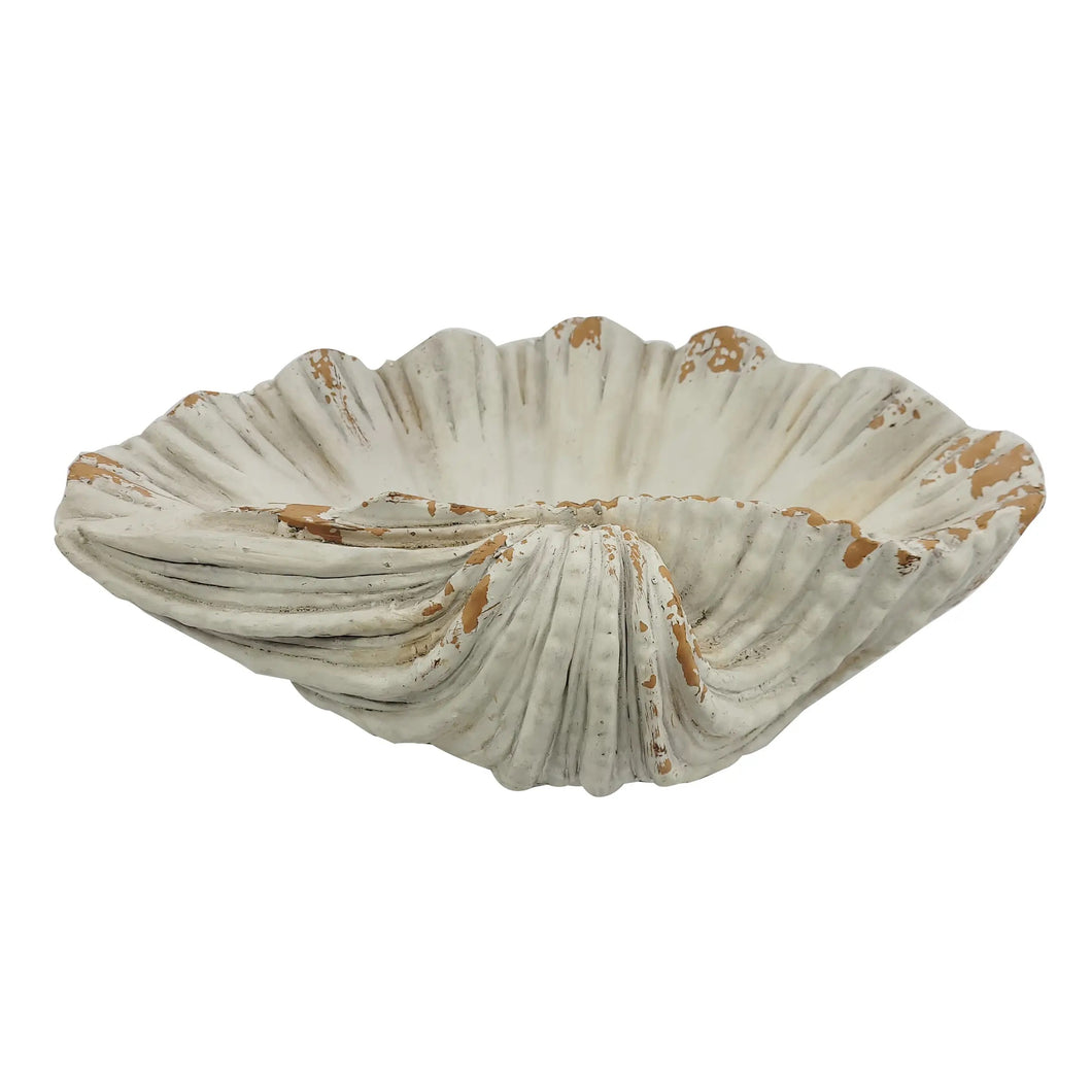Cream Polyresin Seashell Planter – Hampton Haigen Home