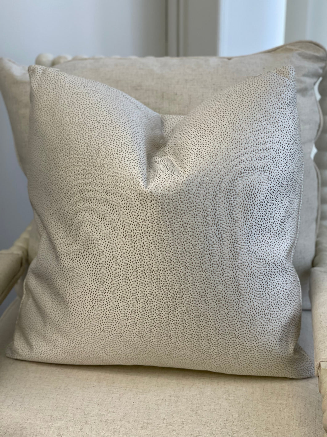 Cosmos Oyster Pillow