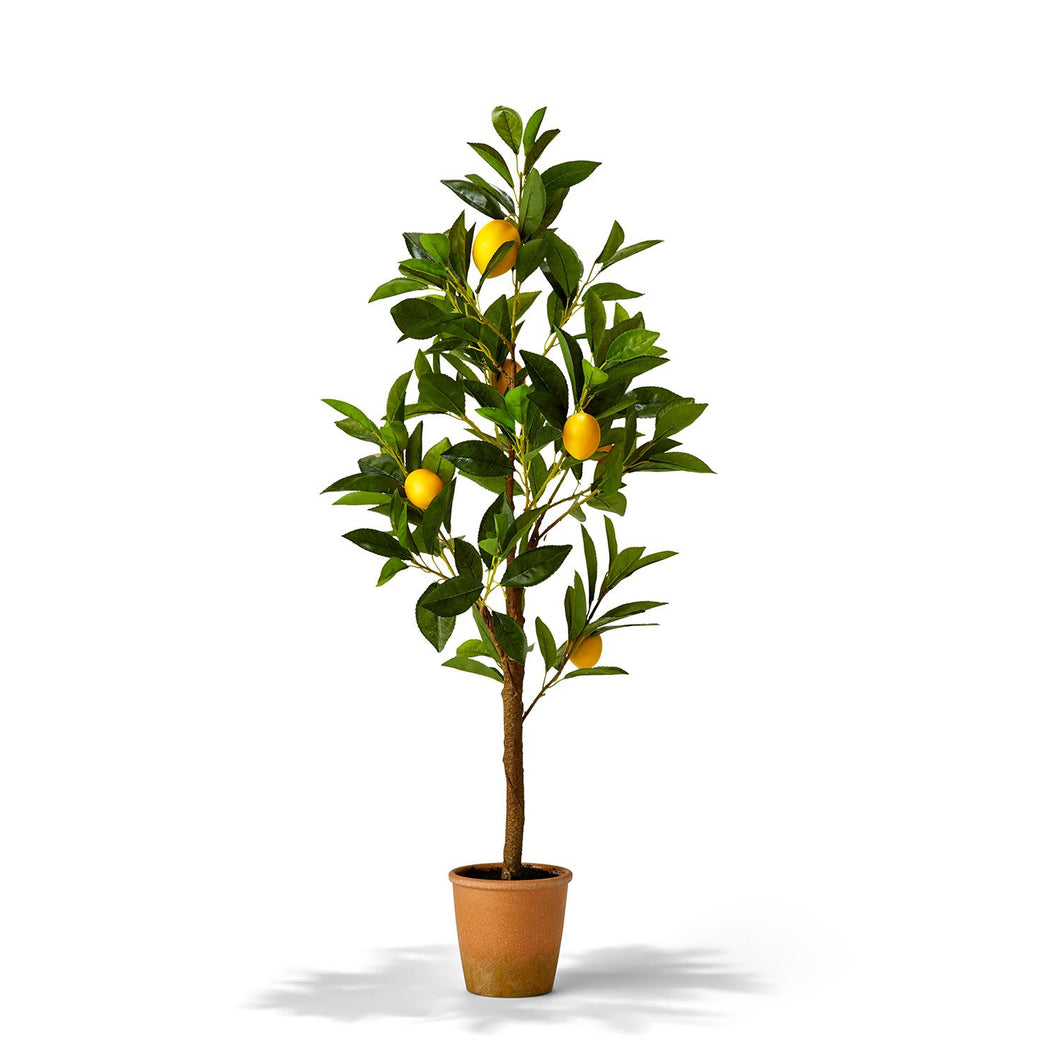TWO'S COMPANY Faux Lemon Tree in Pot